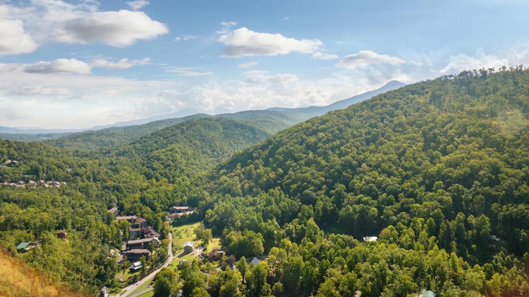 Baloo'S Bungalow Gatlinburg Ngoại thất bức ảnh